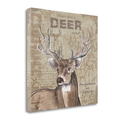 Where Does A Deer Play Wrapped Canvas Print Living Room Wall Art