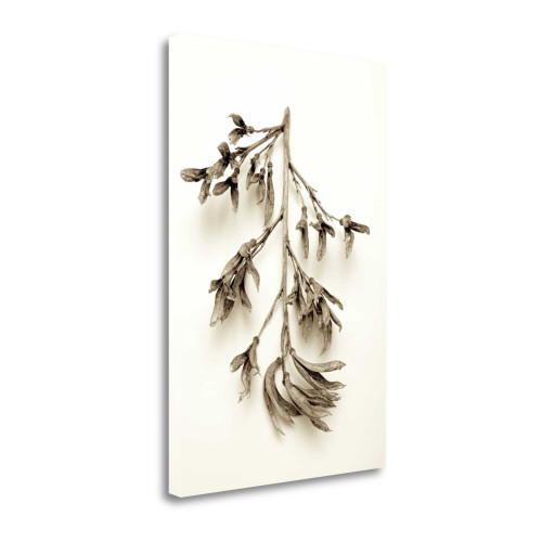 Garden Bloom 15 Wrapped Canvas Print Living Room Wall Art