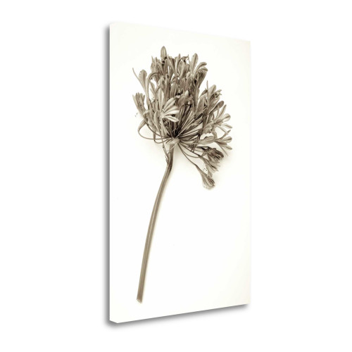 Garden Bloom 9 Wrapped Canvas Print Wall Art