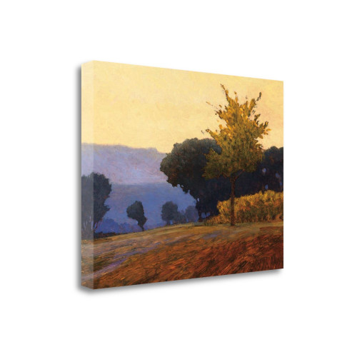 Meadow 5 Wrapped Canvas Print Wall Art