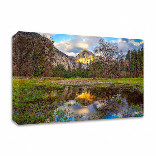 A Mother's Tree Wrapped Canvas Print Wall Art
