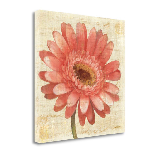 Blushing Gerbera On Cream 1 Wrapped Canvas Print Living Room Wall Art