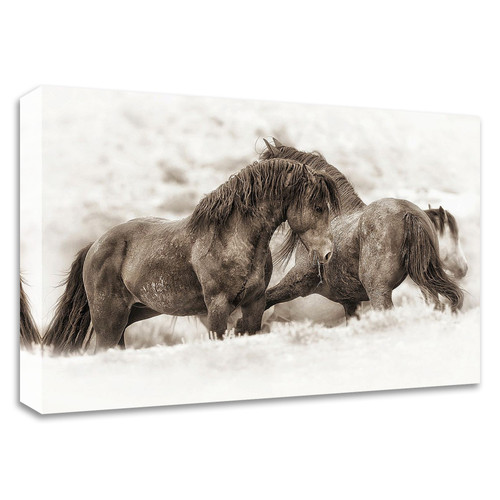 "Brothers" Wrapped Canvas Print Wall Art