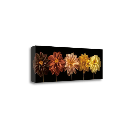 Floral Salute 1 Wrapped Canvas Print Wall Art