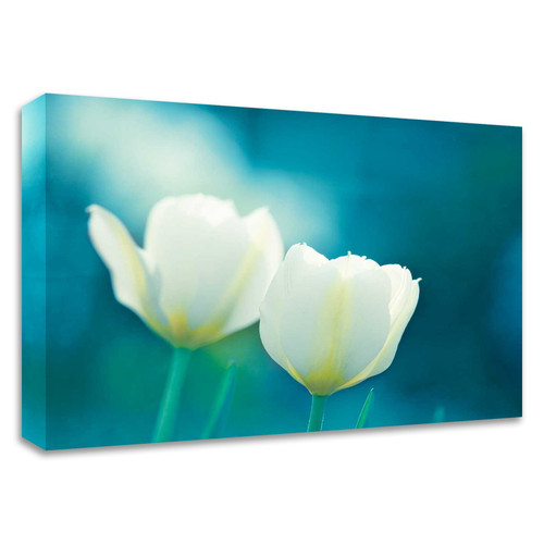 "Charisma" Wrapped Canvas Print Wall Art
