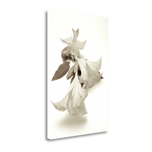 Garden Bloom 13 Wrapped Canvas Print Living Room Wall Art
