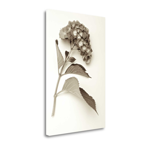Garden Bloom 1 Wrapped Canvas Print Wall Art