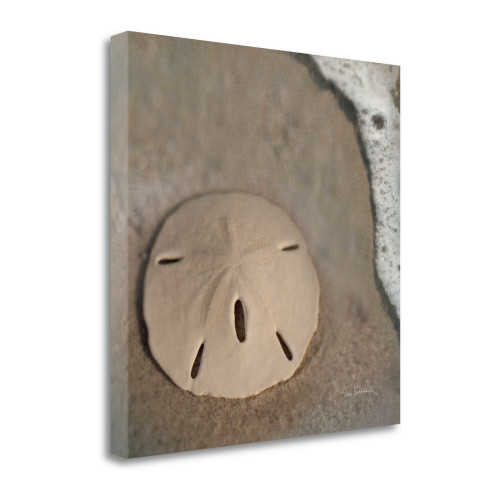 Sand Surf Sand Dollar 2 Wrapped Canvas Print Living Room Wall Art