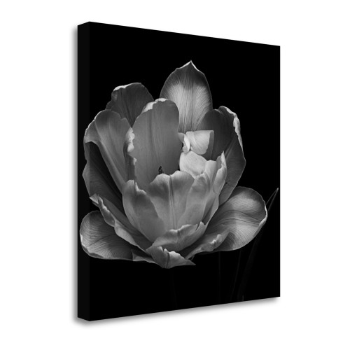 Summers Comfort 1 Wrapped Canvas Print Living Room Wall Art