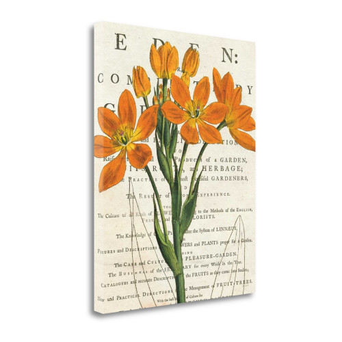 Euphorbia Botany 2 Wrapped Canvas Print Living Room Wall Art