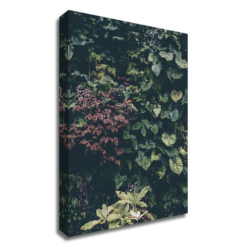 Plant Wall Wrapped Canvas Print Wall Art