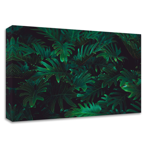 "Tropical 2" Wrapped Canvas Print Wall Art