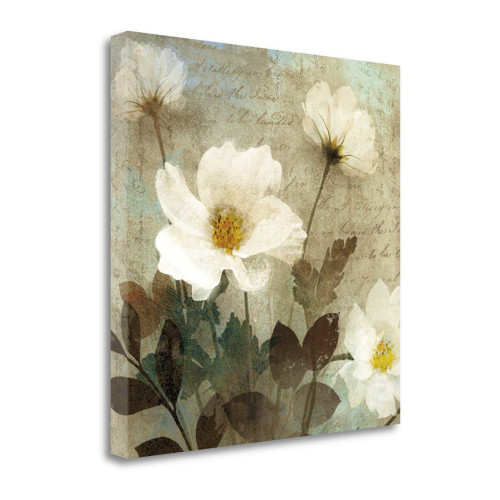 Anemone I Wrapped Canvas Print Living Room Wall Art
