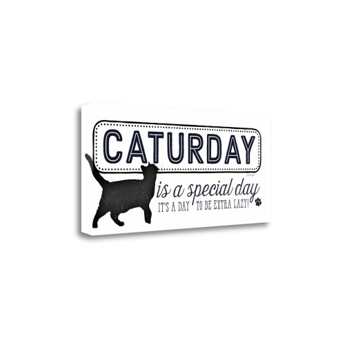 Caturday 1 Wrapped Canvas Print Living Room Wall Art