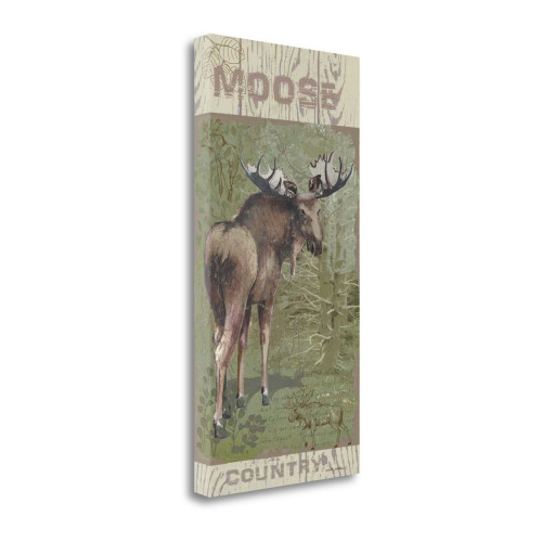 Moose Country 2 Wrapped Canvas Print Living Room Wall Art