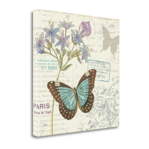 Papillon Tales II Wrapped Canvas Print Living Room Wall Art