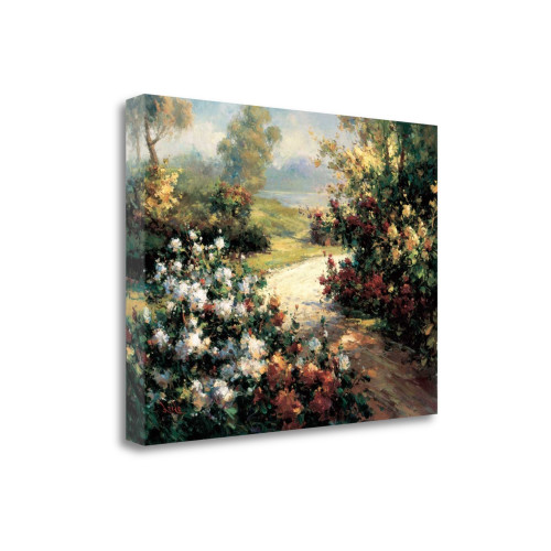 Pathway Of Flowers 5 Wrapped Canvas Print Wall Art
