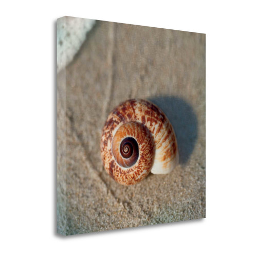 Sand Surf Shell 1 Wrapped Canvas Print Living Room Wall Art