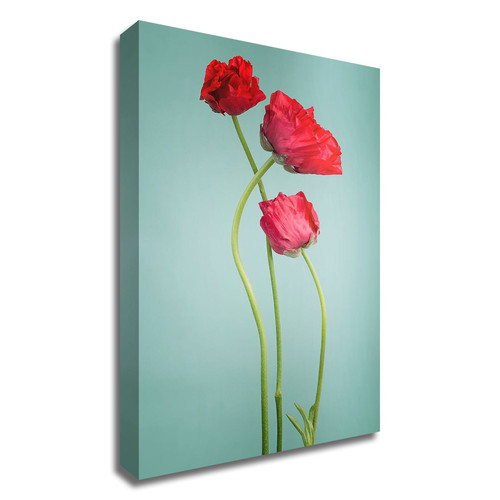 "Blue Poppy" Wrapped Canvas Print Wall Art