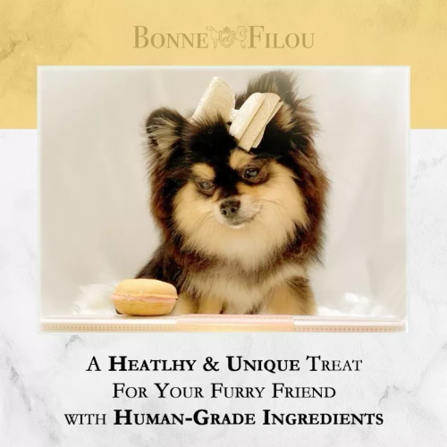 Dog Macarons - Box of 6 (Available in 12 Flavors)
