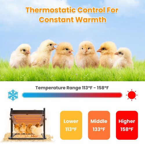 Brooder Heater For Chicks