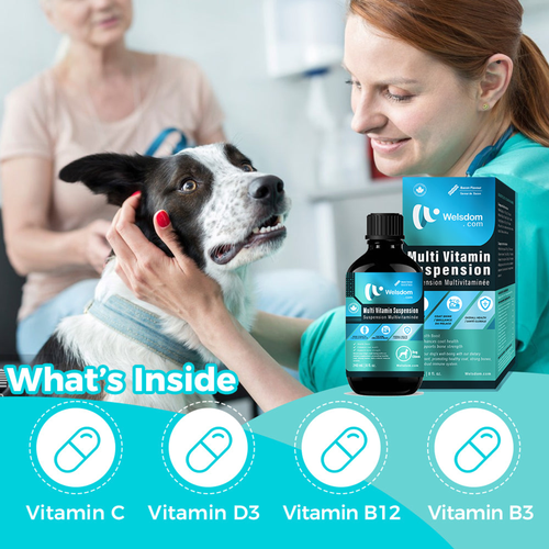 Multi Vitamin Suspension - 240mL