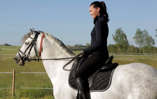 ALZOO Herbal Horse Collar