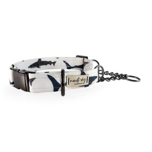 Shark! Buckle & Martingale Dog Collar