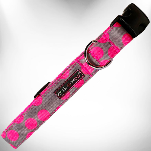 Polka Dot Dog - Neon Collars