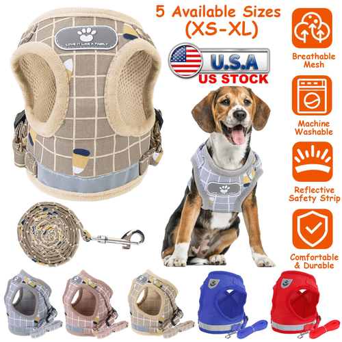 Pet Mesh Harness Dog Leash Set 
