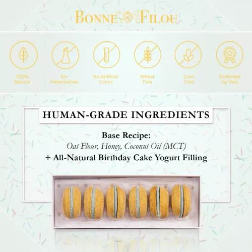 Dog Macarons - Box of 6 (Available in 12 Flavors)