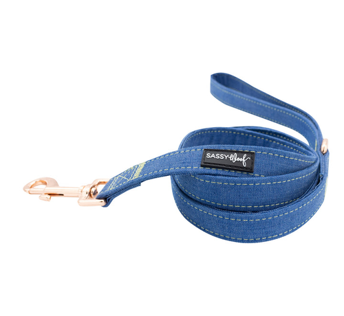 Leash