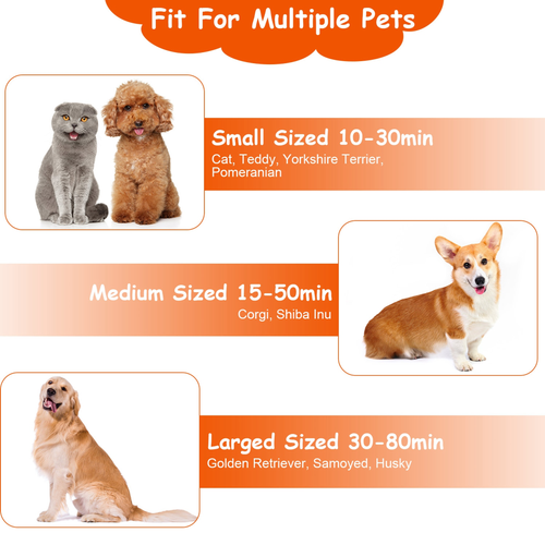 2 In 1 Multifunctional Pet 