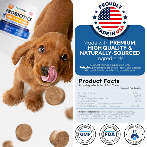 Probiotics for Dogs