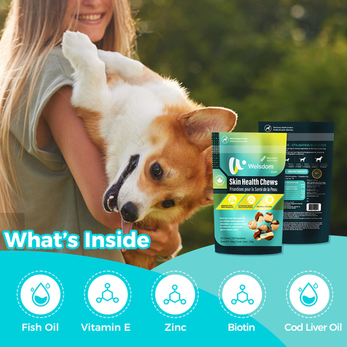 Skin Health Chews for Dogs  Omega-3 & Antioxidant Support 