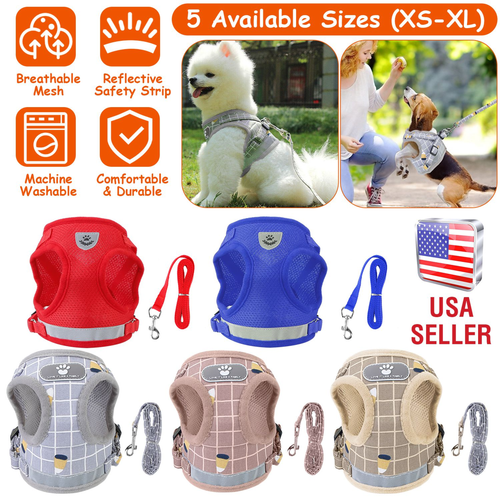 Pet Mesh Harness Dog Leash Set