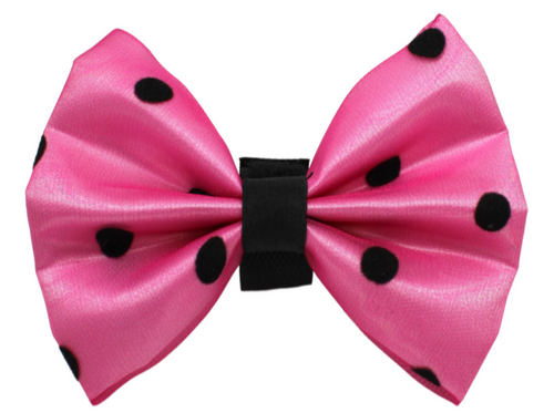 PR1001|Pets Ribbons