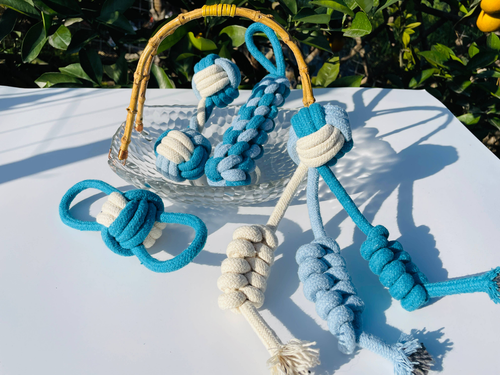 Eco-friendly Blue and White Rope Dog Toys 4 Set