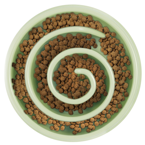 Dog Cat Slow Feeder Bowl Pet 