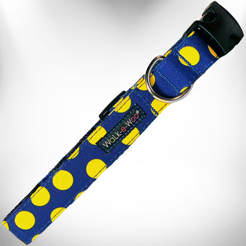 Polka Dot Dog - Neon Collars