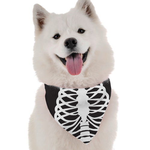 Skeleton Costume