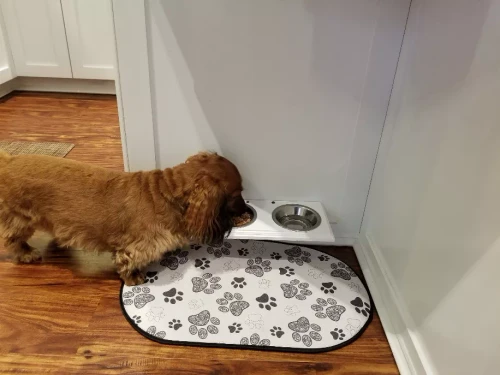 Champion Bowl Pet Food Holder