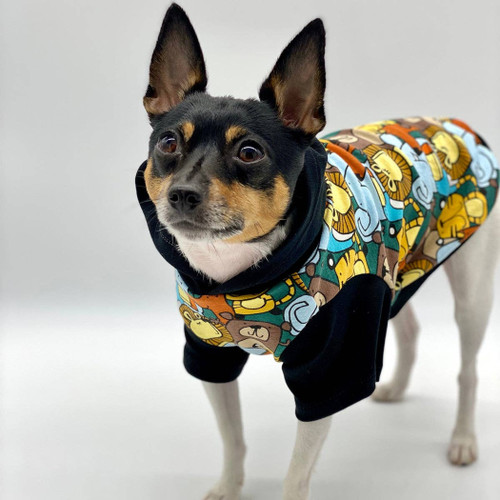 DCNY Day At The Zoo Hoodie - Limited Edition