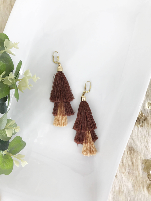 Ombre Tassel Earrings 