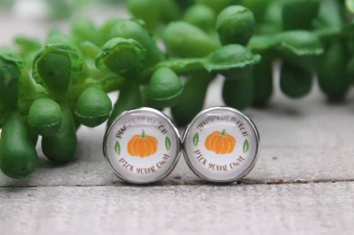 Pumpkin Patch || Glass Stud Earrings || Hypoallergenic