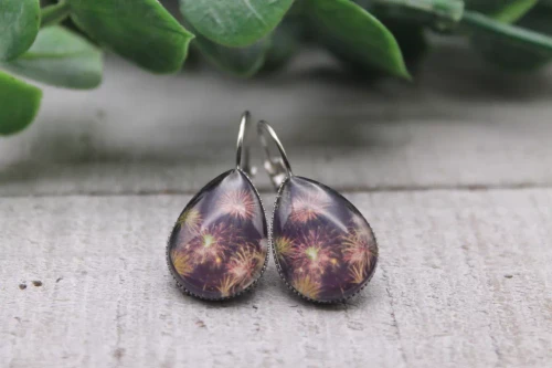 Fireworks French Lever Earrings