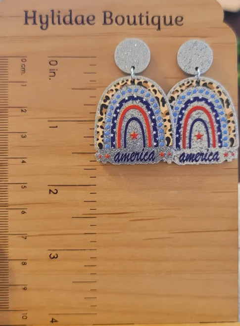 America Rainbow Dangle Earrings