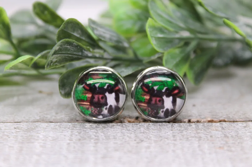 St. Patrick's Cow Stud Earrings