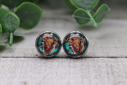 Highland Cow on Turquoise  Glass Stud Earrings