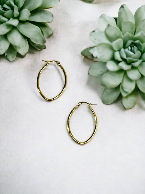 Stainless Steel Hoop Earrings 